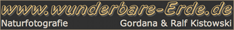 Logo von wunderbare-erde.de